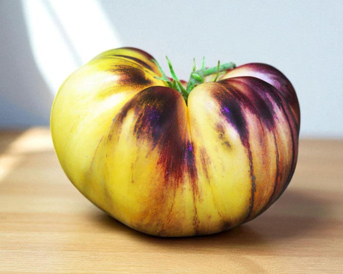 Tomate Sart Roloise