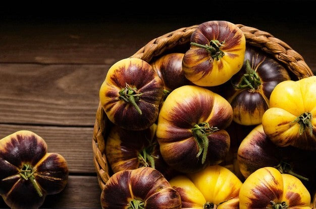 Tomate Sart Roloise