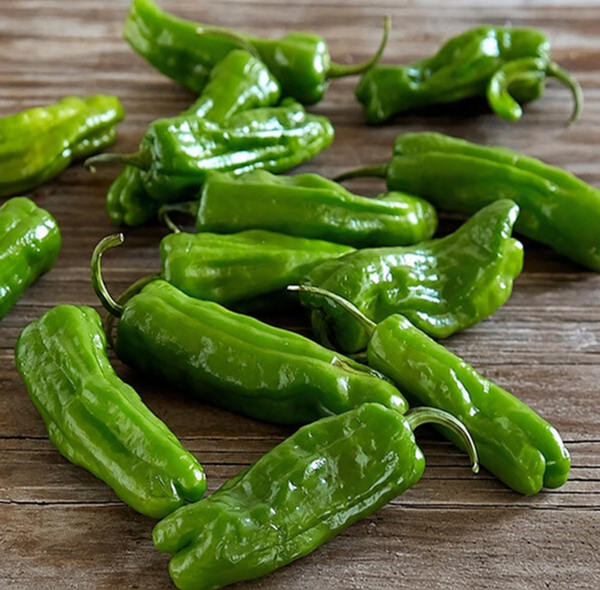 Green Shishito peppers on a rustic wooden surface; catalogue photograph retouched to remove a cropped heat label.