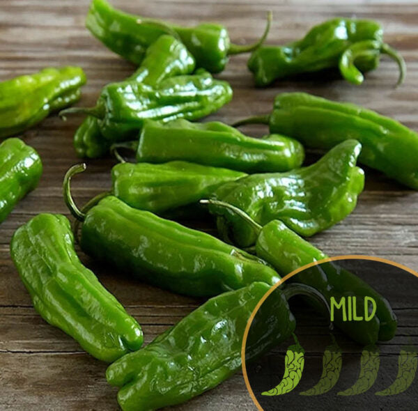 Green Shishito peppers on a wooden surface with a 'MILD' label inset.