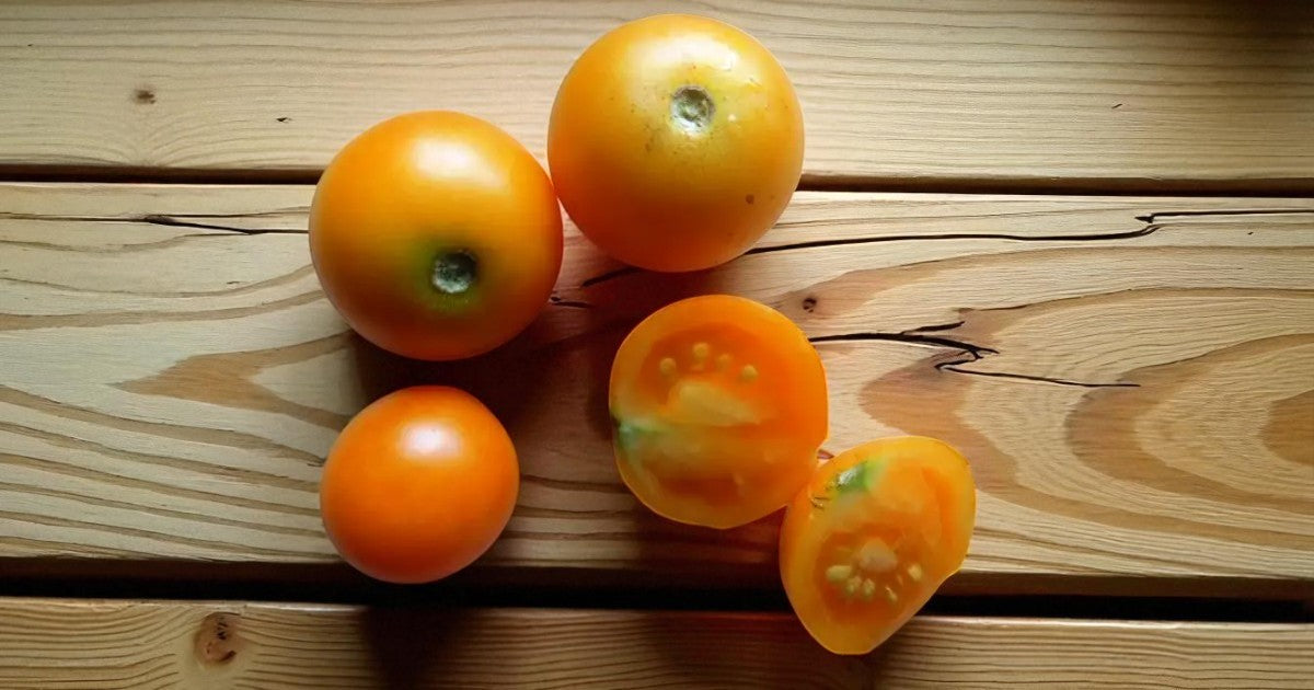 Tomate Sungella