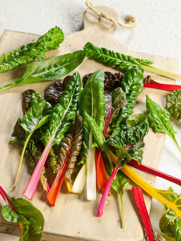 Swiss Chard ‘Bright Lights’ Seeds - swiss chard bright lights seeds 2