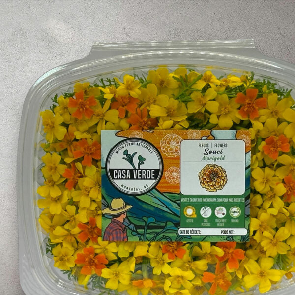 Marigold Lemon Gem Signet Edible Flowers