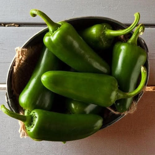 TAM Jalapeño