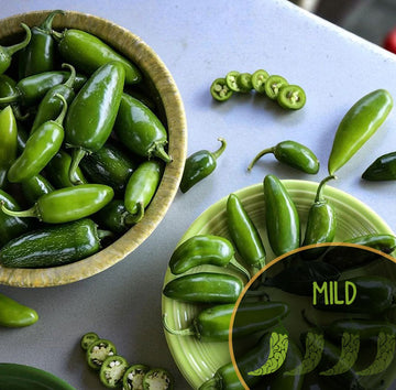 TAM Jalapeño