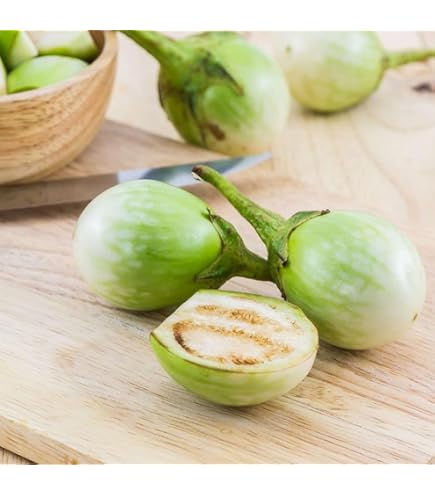Aubergine ronde thaïlandaise
