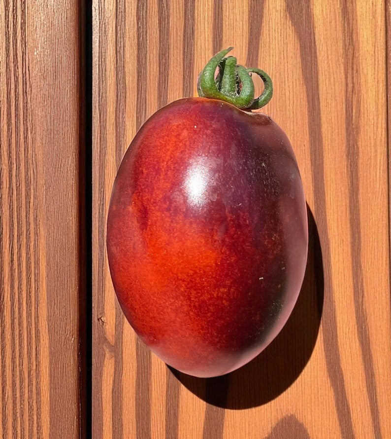 Midnight Roma Tomato Seeds Canada included in Sauce Tomato Pack