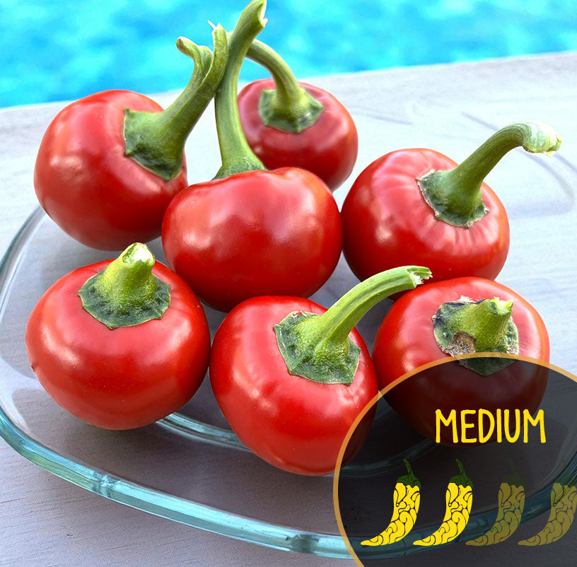 Tondo Calabrese Pepper