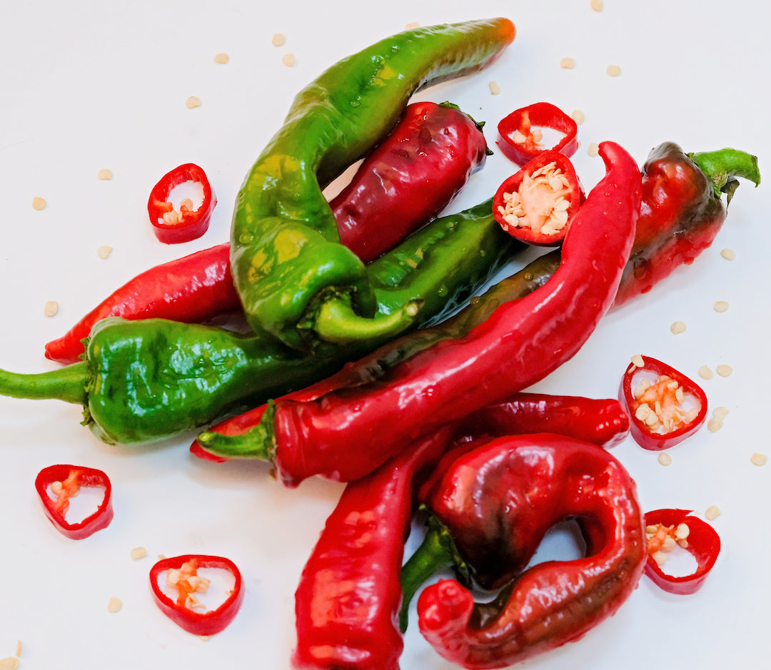 Piment Txorixero 