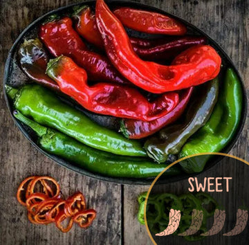Piment Txorixero 