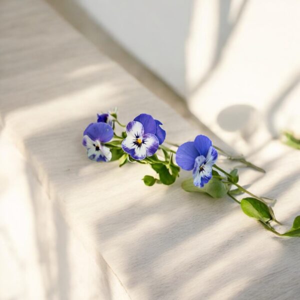 Sorbet Viola Bleu de Delft