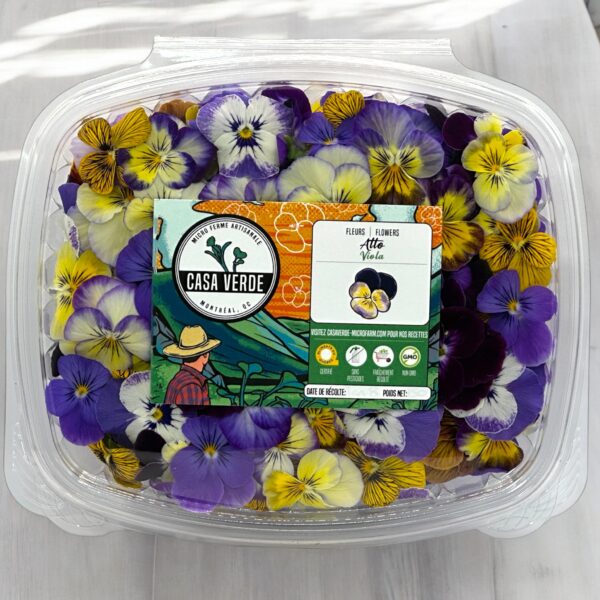 Viola Pansy Edible Mixed Flowers