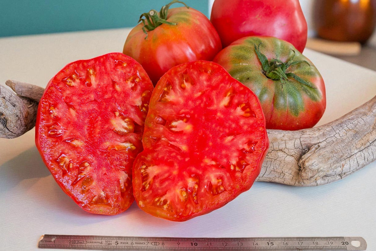Tomate pastèque géante