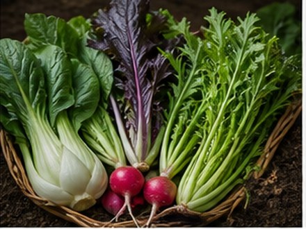 Asian Vegetable Seeds